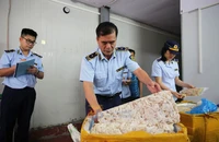 Quảng Ninh: Tiêu hủy hàng ngàn sản phẩm vi phạm trong một tuần cao điểm chống hàng lậu, hàng giả