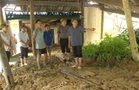 Bắt đầu có thiệt hại do mưa lũ ở miền Bắc những giờ qua