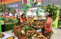 Nông sản thu hoạch rộ, Thủ tướng chỉ đạo các giải pháp khắc phục tình trạng 'được mùa mất giá'