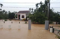7 người chết và mất tích vì bão số 1