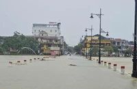 Ban Bí thư chỉ đạo chủ động phòng ngừa, ứng phó và khắc phục hậu quả thiên tai