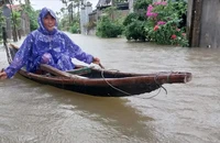 Bộ Nông nghiệp và Môi trường hỗ trợ khẩn cấp Huế khắc phục hậu quả bão số 1