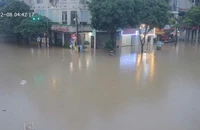 Lũ lên nhanh, Thái Nguyên, Bắc Ninh, Bắc Giang, Hà Nội triển khai công tác hộ đê