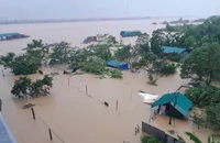 Lũ đang lên, Hà Nội, Thái Nguyên, Bắc Ninh khẩn trương triển khai công tác hộ đê