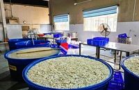 Kinh hoàng kho chân gà 'bẩn' ngâm hóa chất ở Thanh Hóa