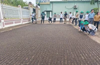 Sau gạo, cà phê, đến lượt thuỷ sản, hồ tiêu... gặp khó vì vướng thuế giá trị gia tăng