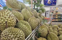 Xuất khẩu sầu riêng, dừa Việt... bị ảnh hưởng ra sao khi Mỹ áp thuế 20%?