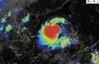 Bão số 5 khả năng thành cuồng phong, hướng thẳng vào miền Trung