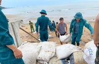 Người dân Nghệ An gấp rút gia cố nhà cửa, cắt tỉa cây xanh để chống bão số 5