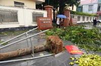 Hàng ngàn ngôi nhà đang bị ngập, nhiều thôn chia cắt vì bão số 5