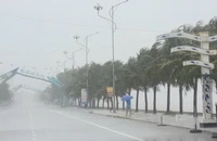 Áp thấp nhiệt đới đang hình thành trên Biển Đông