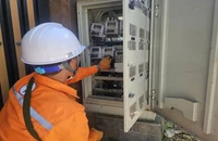 Đề xuất cho EVN phân bổ khoản lỗ vào giá điện nếu tiếp tục thua lỗ những năm tới