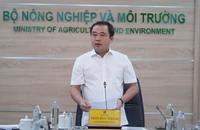 Philippines và Indonesia tạm ngừng nhập khẩu gạo, Bộ NN&MT họp gấp