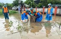 Lập Ban chỉ đạo tiền phương tại các tỉnh có tâm bão số 10 đi qua