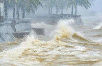 Biển Đông sắp có bão số 12