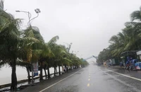 Cảnh báo mưa lớn từ Quảng Trị đến Quảng Ngãi, riêng Huế có nơi mưa rất lớn