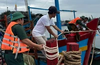 Ban Chỉ đạo Phòng thủ dân sự quốc gia có công điện về ứng phó bão Kalmaegi