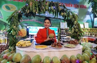 Nông sản Việt Nam đã xuất khẩu đến hơn 190 quốc gia và vùng lãnh thổ