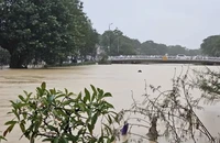 Bão số 13 đã tan, cảnh báo mưa to và lũ, sạt lở