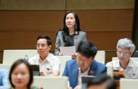 Đại biểu Quốc hội: Nhiều sàn thương mại điện tử nước ngoài thu phí rất cao 