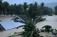 Khẩn: Rủi ro thiên tai cấp 4 do lũ đặc biệt lớn, lũ quét, sạt lở lưu vực sông Ba 