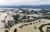 Phó Thủ tướng yêu cầu làm rõ nguyên nhân mưa lũ gây hậu quả nặng nề ở miền Trung