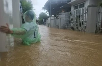 Trung tâm dự báo quốc gia: Đợt mưa lũ ở Nam Trung Bộ vừa qua là cực đoan, vượt kỷ lục lịch sử