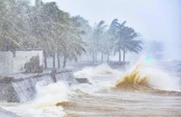 Bình Định đến Bình Thuận cũ có khả năng sắp chịu ảnh hưởng của cơn bão mới