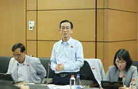 Cần thể chế để phát huy lợi thế của TP.HCM với bờ biển dài và đẹp