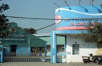 Vụ thịt heo bệnh ở Công ty đồ hộp Hạ Long: Yêu cầu Sở NN&MT Hải Phòng báo cáo cách xử lý