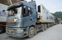 Vướng Nghị định 46, hơn 1.000 xe nông sản, thực phẩm 'tắc' tại cửa khẩu