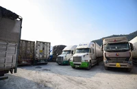 Bộ NN&MT lập đường dây nóng để tiếp nhận, giải đáp khó khăn thực hiện Nghị định 46