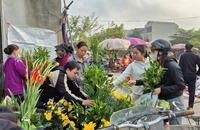 Mùng 2 Tết, nhiều siêu thị, chợ rục rịch hoạt động trở lại