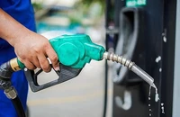 Nhiều doanh nghiệp xăng dầu phản ánh chiết khấu 0 đồng, khó nhập hàng