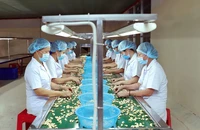 Đề xuất giảm thuế nhập khẩu phân bón xuống 0%
