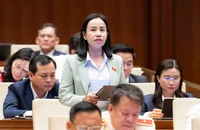 Đại biểu lo 'cú sốc' thuế xe điện từ 2031, nguy cơ sốt ảo rồi đóng băng thị trường