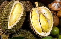 Sầu riêng, nhiều nông sản ùn tắc kiểm nghiệm, Bộ NN&MT chỉ đạo khẩn 