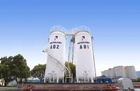 Petrolimex bán xăng sinh học E10 trên toàn hệ thống từ 20-5
