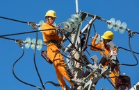 Tiêu thụ điện liên tục lập kỷ lục, phát điện chạy dầu đặt trong trạng thái sẵn sàng