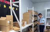 Phát hiện doanh nghiệp kinh doanh hàng trăm phụ tùng ô tô nghi giả 