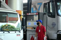 Chiều 11-6: Giá xăng dầu đồng loạt giảm mạnh