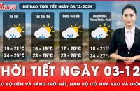 Dự báo thời tiết ngày 03-12: Bắc Bộ đêm và sáng trời rét, Nam Bộ có mưa rào và giông