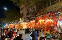  Phố Hải Thượng Lãn Ông rực rỡ sắc đỏ đón Tết