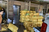 Dẻo thơm nếp quýt Đạ Tẻh