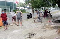 Đà Nẵng có hơn 170 ca sốt xuất huyết trong 2 tuần