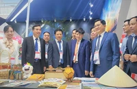 Đà Nẵng quyết tâm khôi phục mạng lưới bay quốc tế