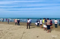 Cá voi khoảng 10 tấn dạt vào bờ biển Hà Tĩnh