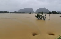 Danh tính 5 người chết và mất tích trong mưa lũ ở Nghệ An