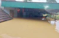 1 người chết, 1 người mất tích trong nước lũ khi đi bắt cá