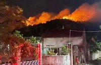 Nghi 4 người đi khảo sát điện gió hút thuốc gây cháy rừng ở Nghệ An